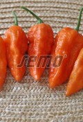 bhut-jolokia-orange.jpg