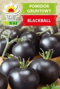 pomidor-blackball-f.jpg