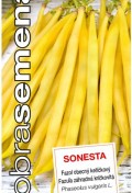 sonesta-10-g.jpg