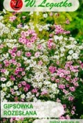 repens.jpg