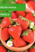 tresca.jpg