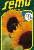 9282-semo-kvetiny-letnicky-slunecnice-rocni-sunrich-orange.jpg
