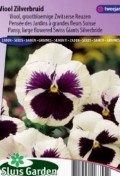 pansy_swiss_giants_silverbride_full.jpg