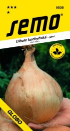 0535-cibule-globo_1.jpg