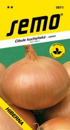 0571-cibule-hiberna.jpg