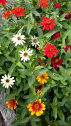 20180716_090048.jpg