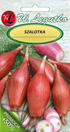 cebula-szalotka-zebrune-.jpg