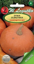 dynia-olbrzymia-karowita-bis-pomaraczowa-nowosc.jpg