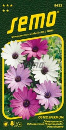 osteospermum-balade-mix.jpg