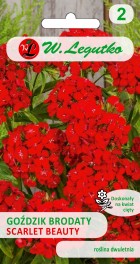 gozdzik-brodaty-scarlet-beauty.jpg