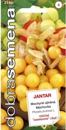 jantar.jpg