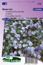linum_perenne.jpg