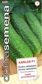 Karlos.jpg