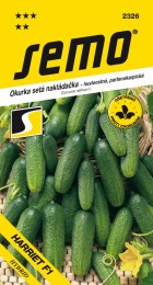 2326-okurka-nakl-husto-harriet-f1_1.jpeg