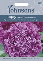 PP_.jpg