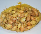 senshyu-yellow.jpg