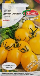pomidor-Cytrynek-Groniasty.jpg