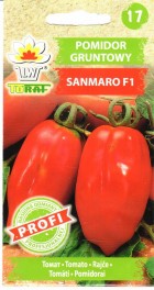 sanmaro.jpg