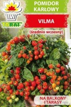 pomidor-karlowy-vilma.jpg