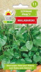 szpinak-pnacy-malabarski_f.jpg