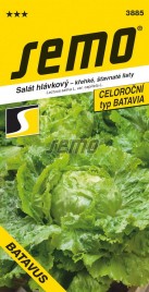 batavus.jpg