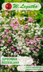 repens.jpg
