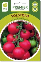 tolstoi1.jpg