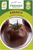 kakao.jpg