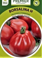 borsalinajpg1.jpg