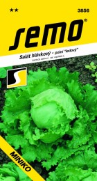 3856-salat-hlavkovy-miniko.jpg