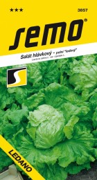 3857-salat-hlavkovy-ledano_1.jpeg