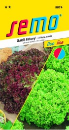 3874-salat-listovy-smes-lolo-duo.jpg