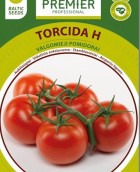 torcidas.jpg