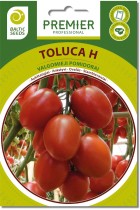 toluca.jpg