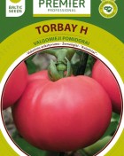 torbay.jpg