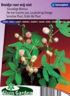 sensitive_plant_pudica_kruidjeroermeniet_full.jpg