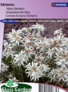 edelweiss_alpinum_en_full.jpg