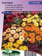 pot_marigold_off_fl_plfiesta_gitana_mix_full.jpg