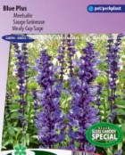 sage_farinacea_blue_plus_full.jpg