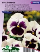 pansy_swiss_giants_silverbride_full.jpg
