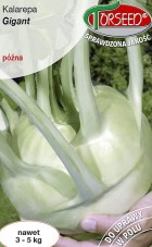 kalarepa-gigant-.jpg