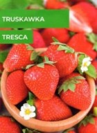 tresca.jpg