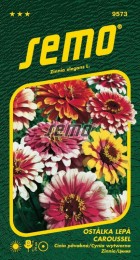 9573-semo-kvetiny-letnicky-ostalka-lepa-caroussel-1.jpg