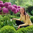 allium-globe-master-2.jpg