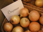 cibule-dagmar-hortikomplex-9-2007-058.jpg