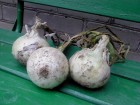 dsc00005-2.jpg