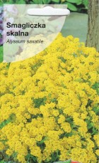 scan0001-21-9.jpg