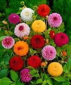 thumb-page-873c333889dd1a608da691483b682e33.jpg
