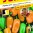 2521-paprika-rocni-hamik-pro-mlsne_1.jpg