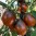 Bl.plum.jpg